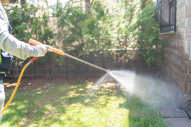 Insect Control in Dodge City, KS